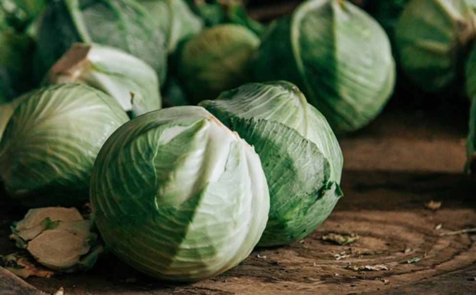 В Чувашии началась заявочная кампания по поддержке ЛПХ