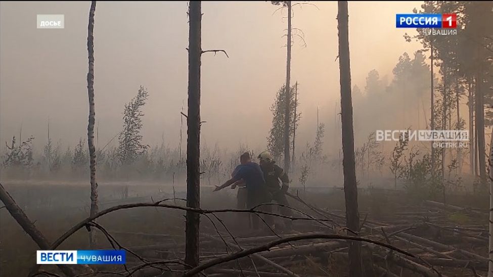 С начала года в Чувашии зафиксировано 4 лесных пожара