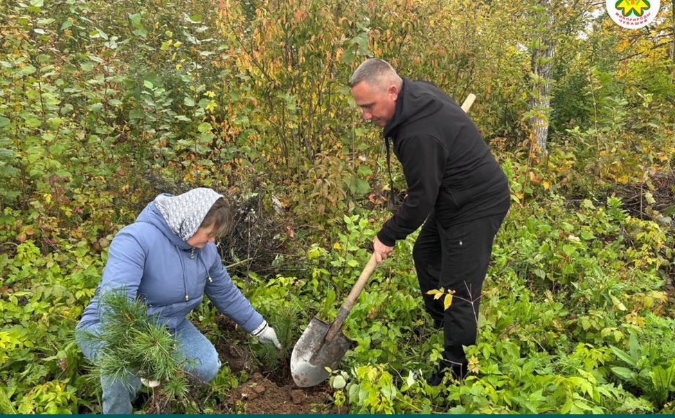 Чувашия все активнее присоединяется к Всероссийской акции «Сохраним лес»