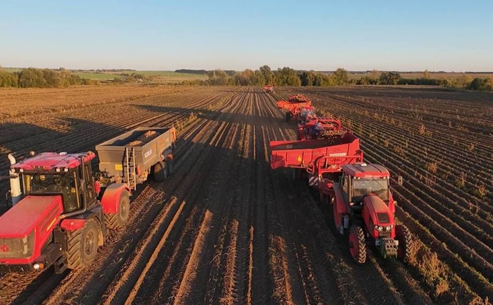 В Чувашии убрано более 77% полей с картофелем