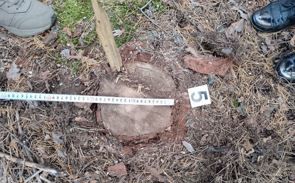 В Чувашии лесные инспекторы выявляют незаконную рубку