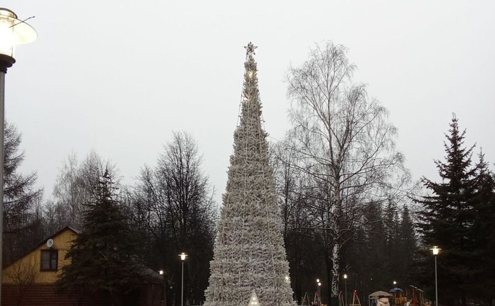 В чебоксарском Дорисс-парке установили белую красавицу В чебоксарском Дорисс-парке установили белую красавицу