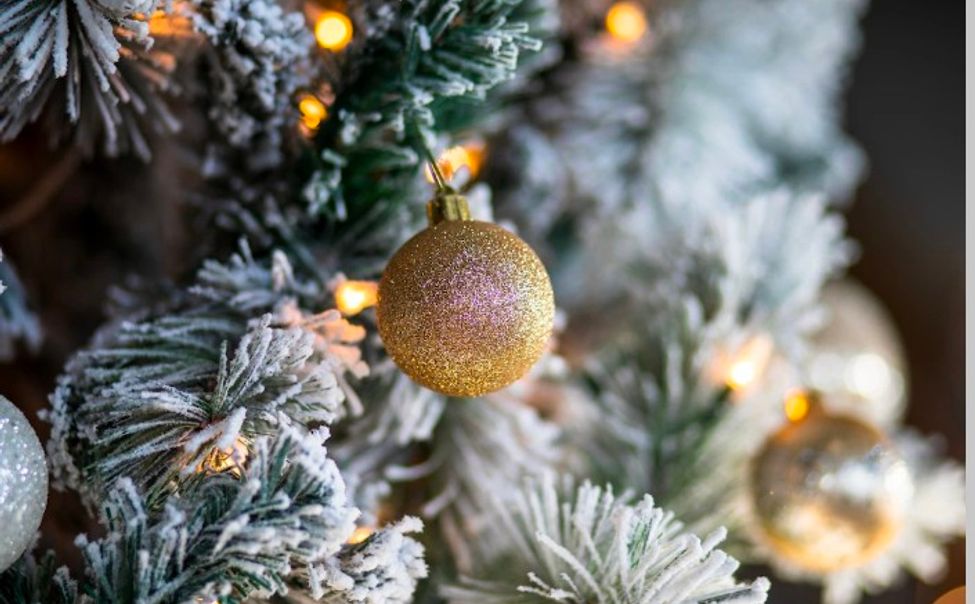 В Чебоксарах к Новому году готовятся провести более 1000 мероприятий