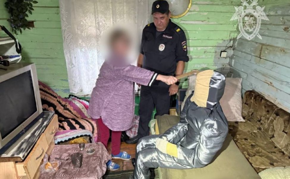 Жительница Козловки осуждена к длительному лишению свободы за убийство родственника