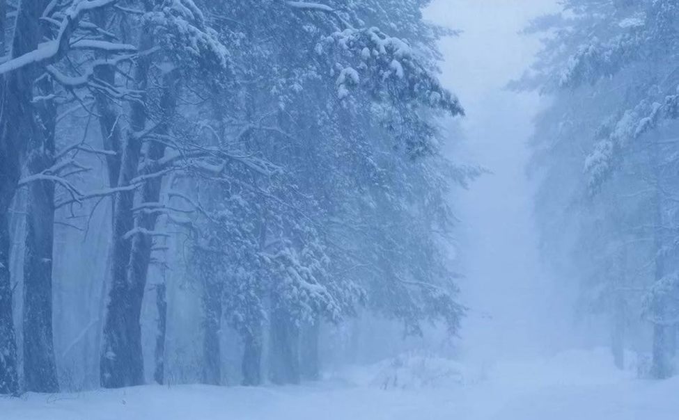 Желтый уровень опасности объявлен в Чувашии из-за метели и гололедицы