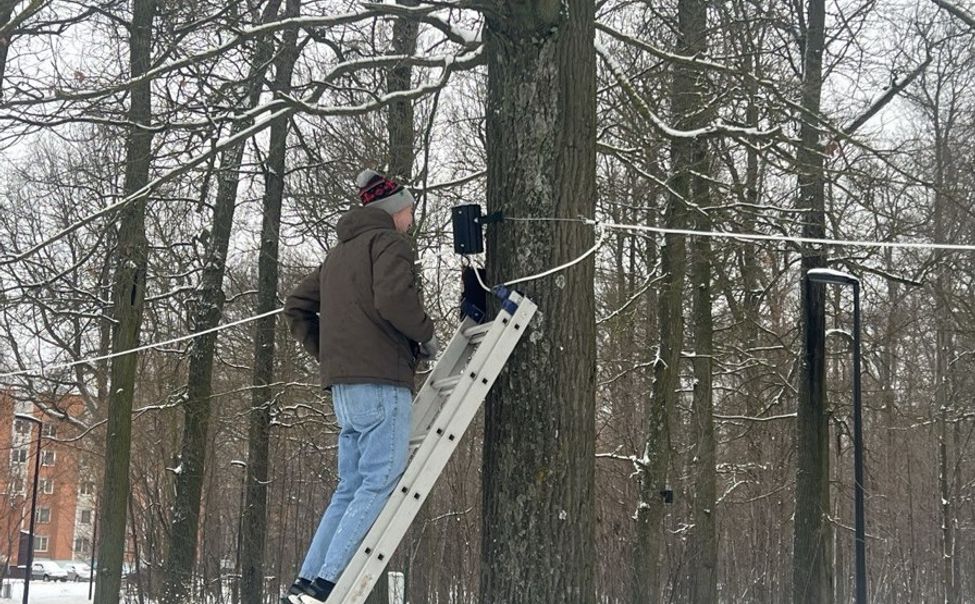 В Обиковском лесу в Чебоксарах монтируют праздничные прожекторы В Обиковском лесу в Чебоксарах монтируют праздничные прожекторы