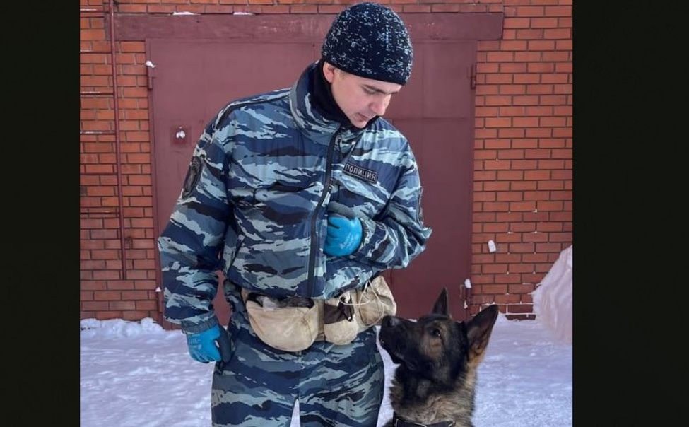 В Чебоксарах кинолог после работы задержал в магазине подозреваемого в мелкой краже В Чебоксарах кинолог после работы задержал в магазине подозреваемого в мелкой краже