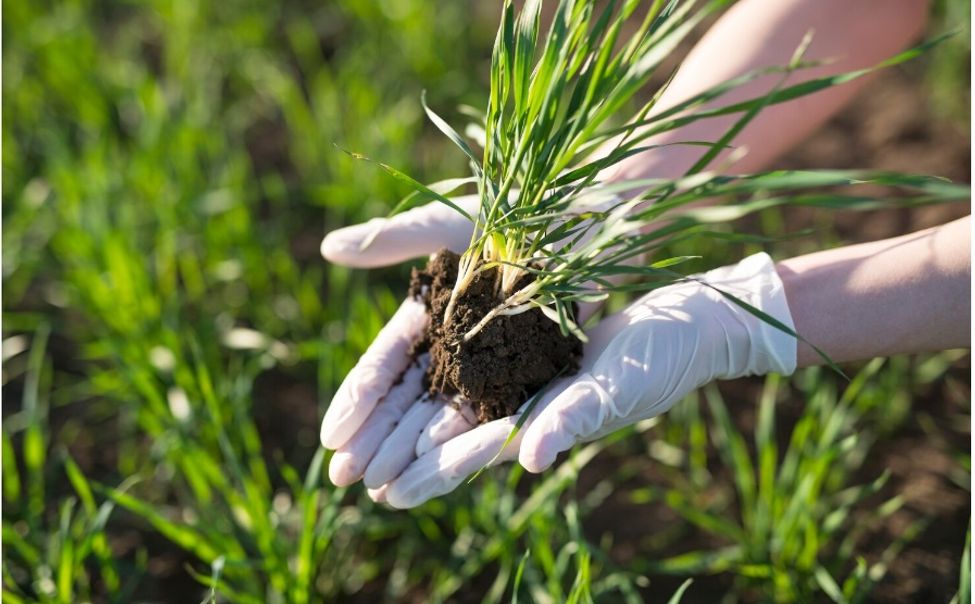 Аграрии Чувашии получат господдержку на проекты мелиорации