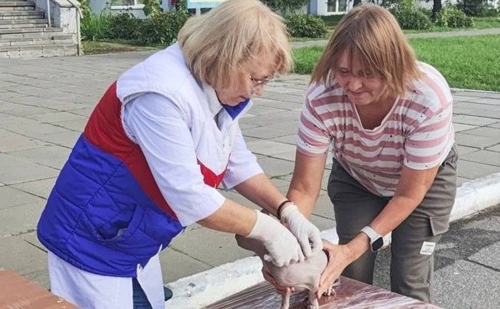 В Чувашии ветеринары иммунизировали против бешенства 120 тысяч собак и кошек