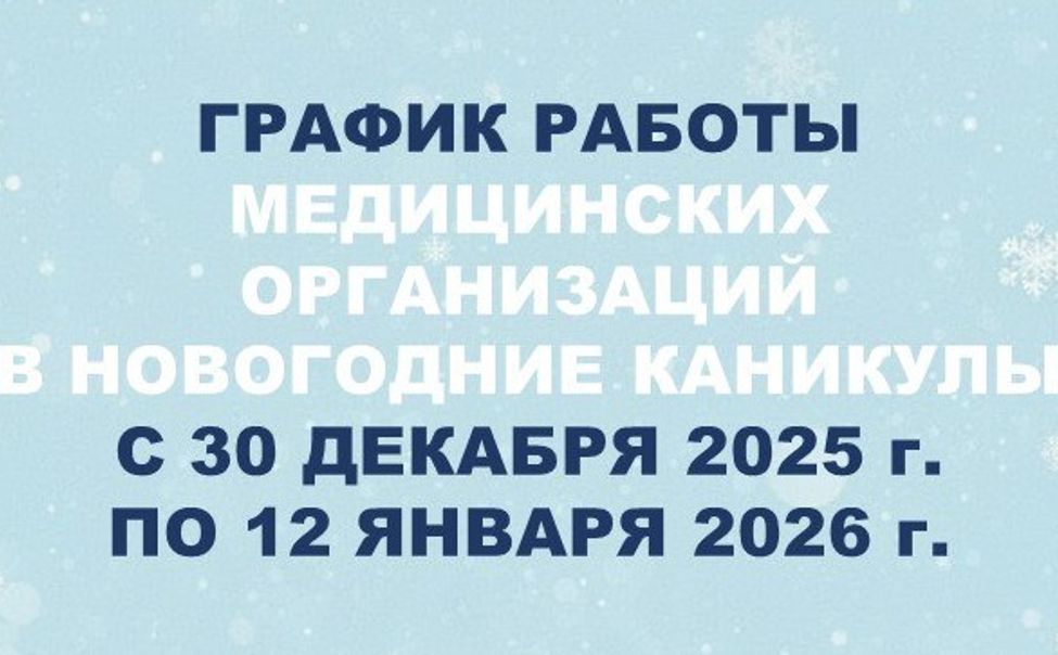 Жителям Чувашии рассказали, как медорганизации будут работать в новогодние каникулы 