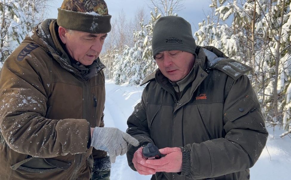 В Чувашии началась перепись диких животных