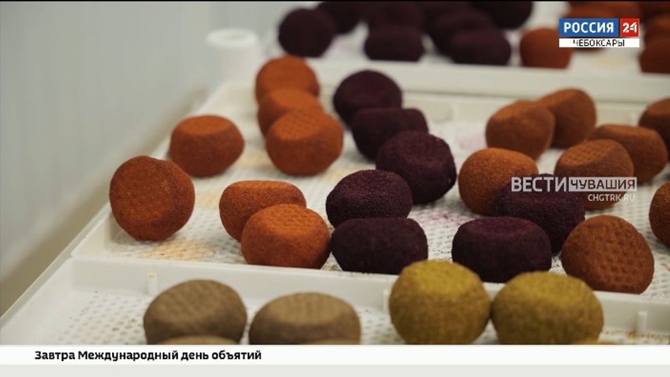 Во Всемирный день любителей сыра чебоксарцы рассказали о своих предпочтениях