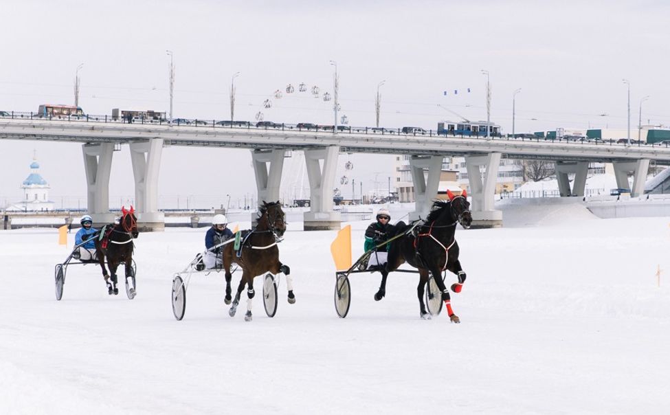 23 февраля Чебоксарский залив превратится в арену для конных бегов «Ледяной Кубок Чувашии-2026»