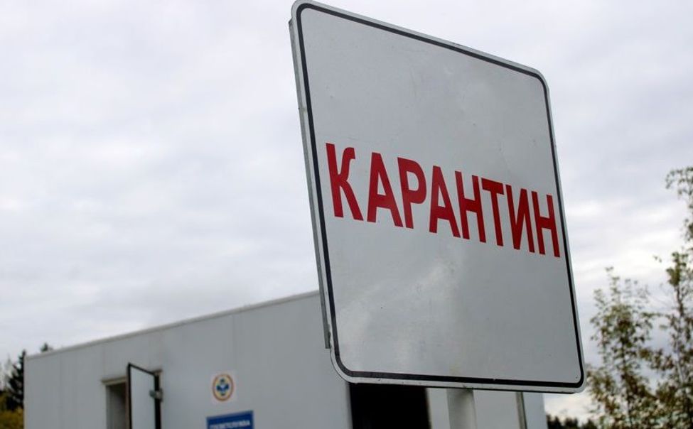 С 10 марта в Чувашии введут карантин для крупного скота