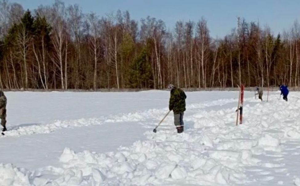 Вурнарские лесники готовят сеянцы сосны к сезону посадок