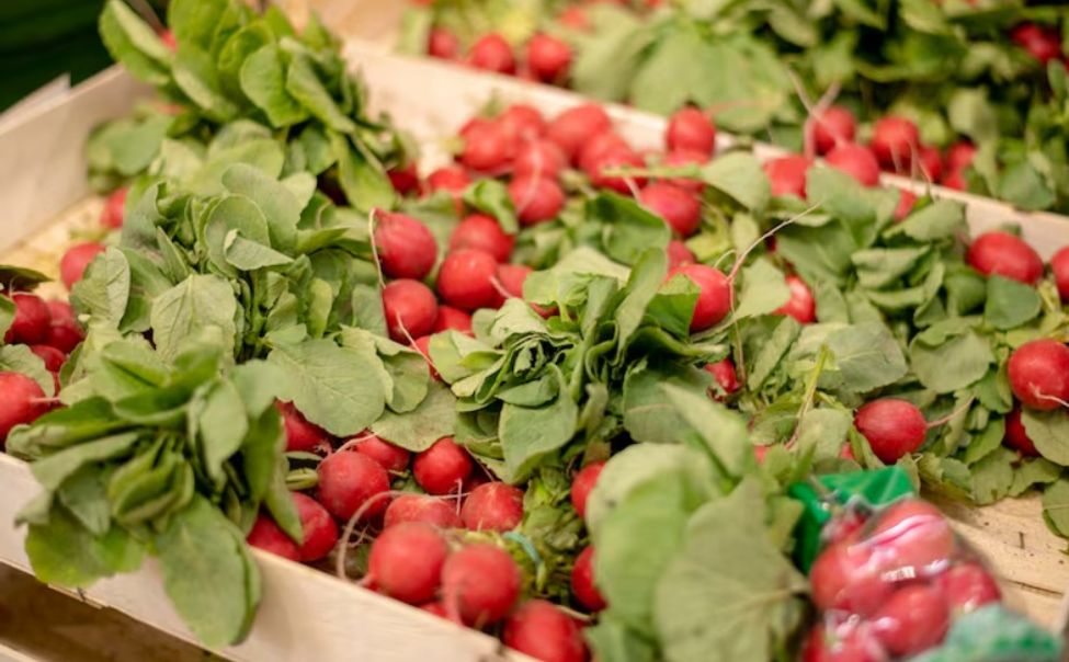 В Чувашии принимают заявки на субсидии по четырем направлениям растениеводства