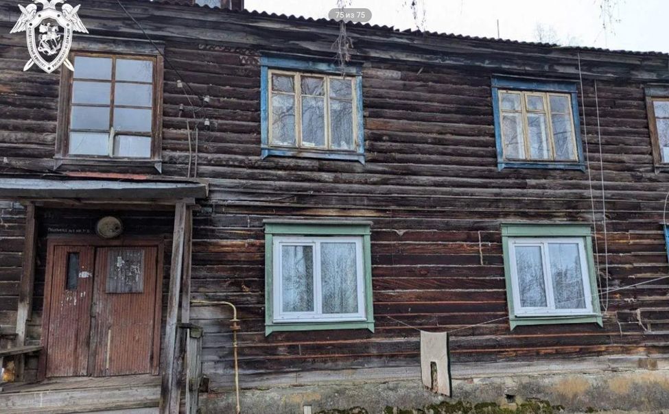 Жительница Шумерли зарезала сожителя