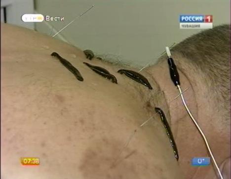 Новый день 14.01.2015