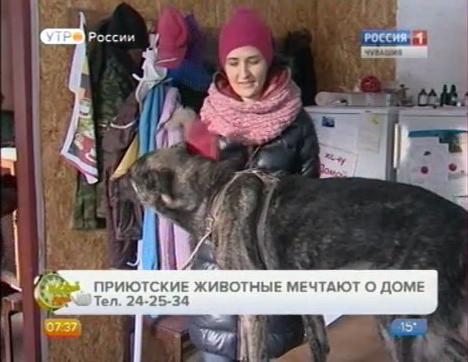 Новый день 26.01.2015