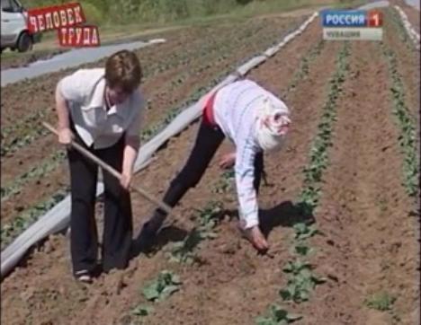 Человек труда (Ĕç çынни). Выпуск 26.03.2015