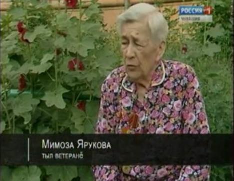 Военное детство (Вăрçă ачисем). Выпуск 09.07.2015 