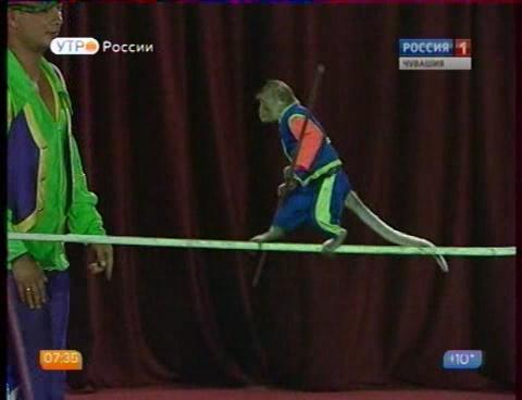 Новый день 19.08.2015