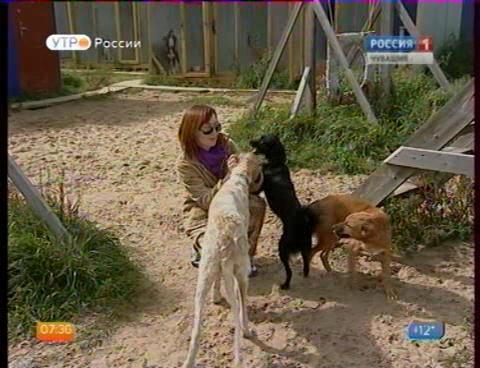 Новый день 10.09.2015