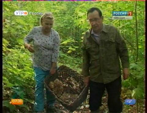 Новый день 11.09.2015