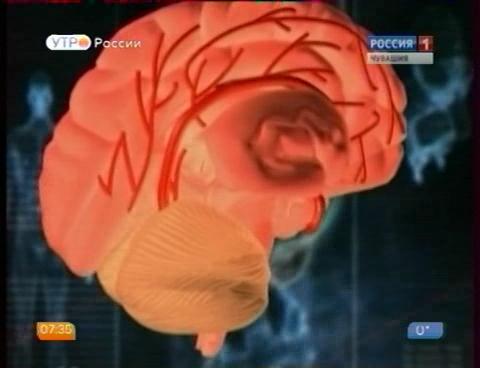 Новый день 29.10.2015