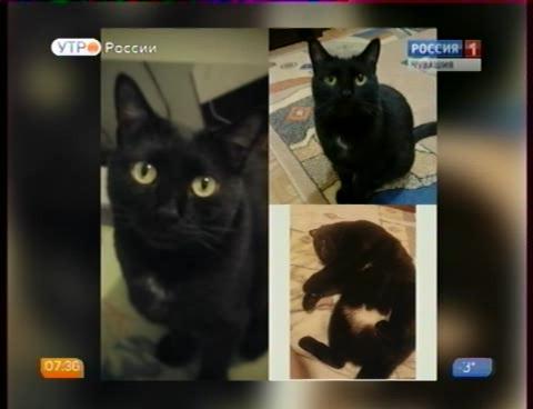 Новый день 17.11.2015