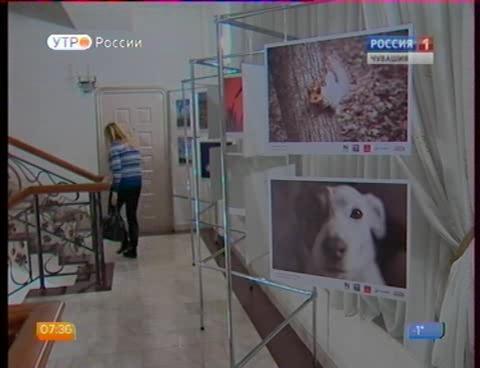 Новый день 14.12.2015