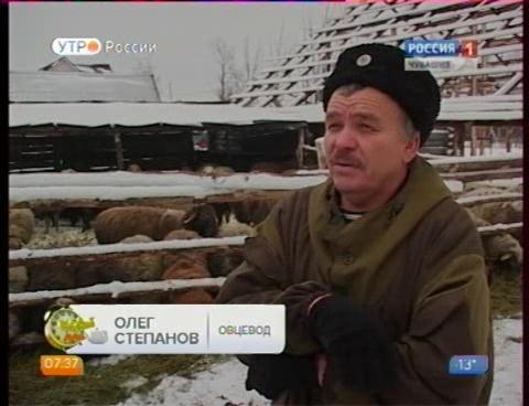 Новый день 11.01.2016