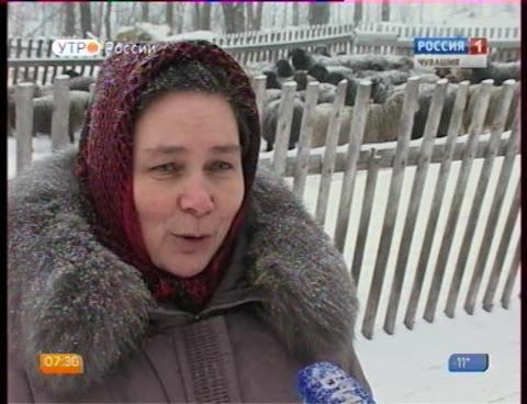 Новый день 29.01.2016