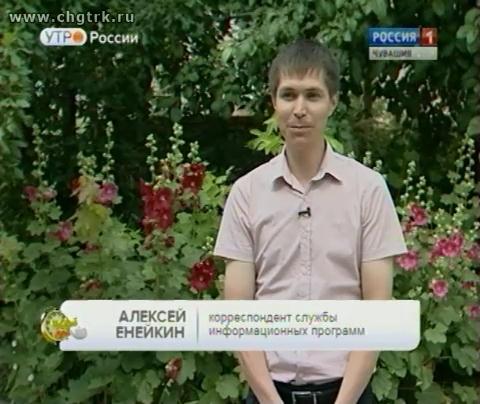 Новый день 29.07.2016