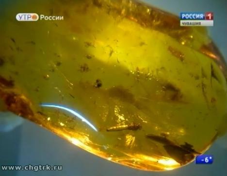 Новый день 24.11.2016