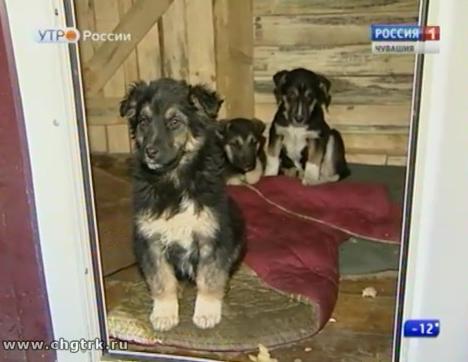 Новый день 30.11.2016