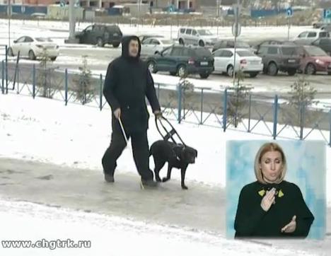 Доступная среда. Выпуск 01.12.2016