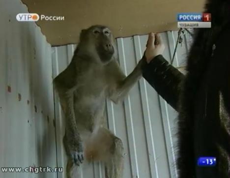 Новый день 21.12.2016