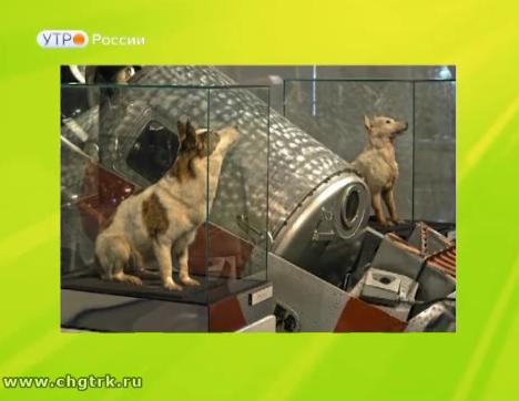 Новый день 12.04.2017