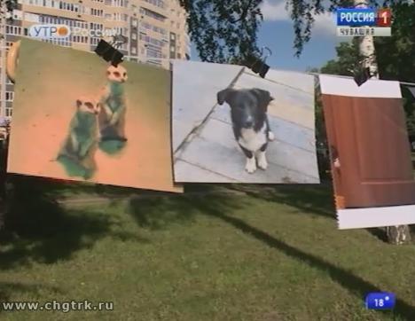 Новый день 04.07.2017