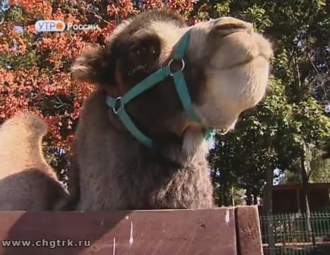 Новый день 22.09.2017