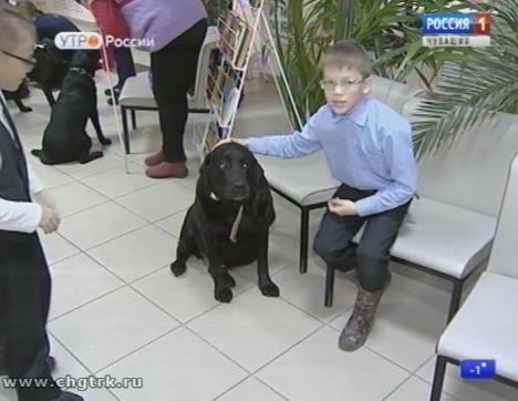 Новый день 07.11.2017