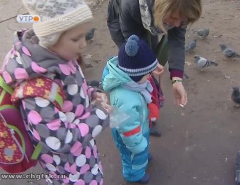 Новый день 20.11.2017