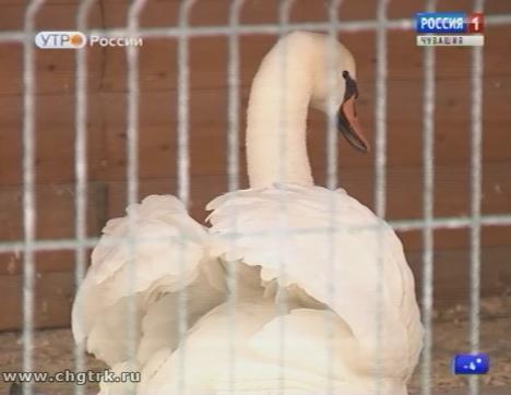 Новый день 01.12.2017