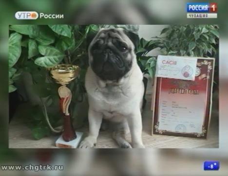 Новый день 22.01.2018