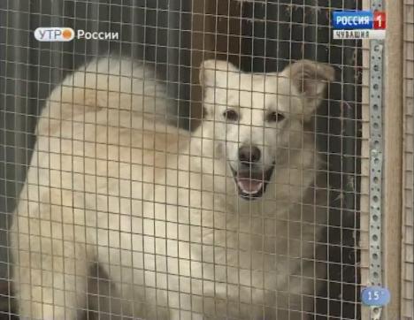 Новый день 21.06.2018