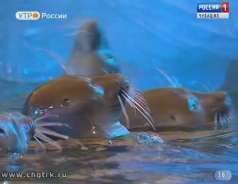 Новый день 24.07.2018 