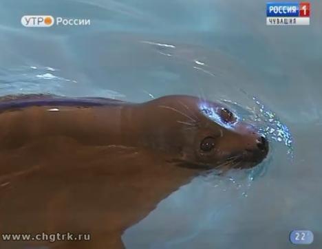 Новый день 07.08.2018