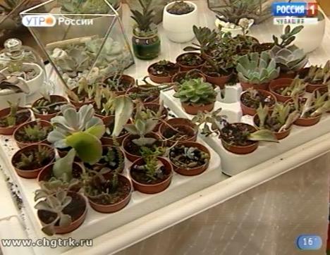 Новый день 21.08.2018