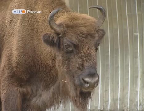 Новый день 02.10.2018